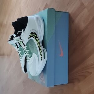 Nike Zoom Freak 4 Mint Basketball Shoes